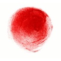 Red Berry Creative Logo