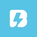 Bridcodes Global Logo