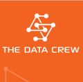 The Data Crew Logo