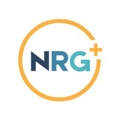 The Northridge Group Logo