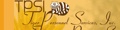 Tiger Personnel Services, Inc Logo