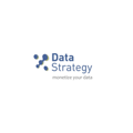 Data Strategy Pte Ltd Logo