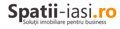 Spatii-Iasi.ro Logo