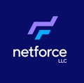 NetForce LLC Logo