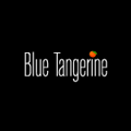 Blue Tangerine Logo
