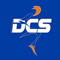 DCS Domestic Courier Service Logo