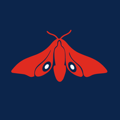 Red Moth Web Design Logo