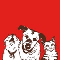 Stella & Chewy's Logo