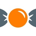 Suur & Company Logo