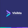 Visibla Solutions Logo