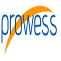 Prowess LLC Logo