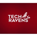 The Techravens Logo