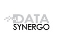 Data Synergo Sdn Bhd Logo