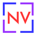 New View Strategies Logo