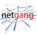 NetGang S.a.s. Logo