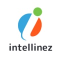 Intellinez Systems Logo