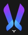 VZ Agency Logo
