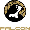 Falcon International Logo