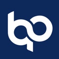 Binary Professionals Logo