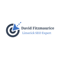 SEO Limerick Logo