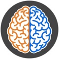 Braintrust Interactive Logo
