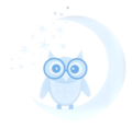 Night Owl Transcription Services Logo