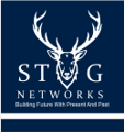 Stag Networks Pvt Ltd Logo