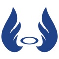 Spirit Consulting Logo