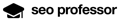 SEO Professor Logo