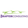 3Raptor Consulting, LLC Logo