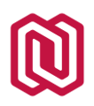 NoSoloSoftware Logo