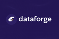 Dataforge Inc. Logo