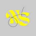 Nameless Studio Co Logo