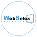 WebSolex Infotech Logo