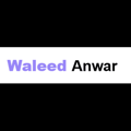 Waleed Anwar – International SEO Consultant Logo