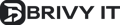 Brivy IT Logo