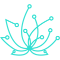 Radisoft Logo