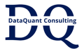DataQuant Consulting Private Limited Logo