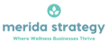 Merida Strategy Logo