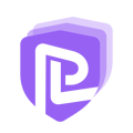 Pentest Layer LLC Logo