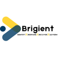 Brigient Logo