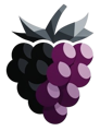 BlackBerry Tech Logo