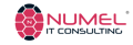 Numel IT Consulting Services Logo