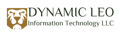 Dynamic Leo Information Technology LLC Logo