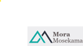 Mora-Mosekama Holdings Logo