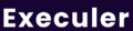Execuler Logo