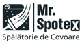 Mr. Spotex Logo