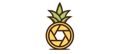 Ananas Video Studio Logo