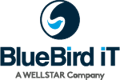 BlueBird iT Solutions Inc Logo