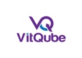 VitQube Consulting LLP Logo
